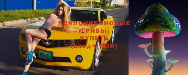 ГАЛЛЮЦИНОГЕННЫЕ ГРИБЫ Лихославль