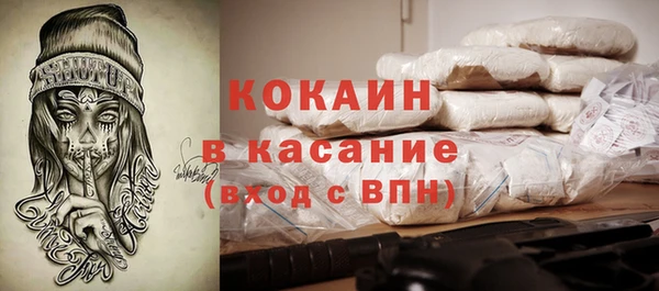 PSILOCYBIN Ладушкин