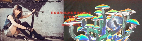 экстази Лагань