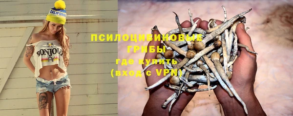 PSILOCYBIN Ладушкин